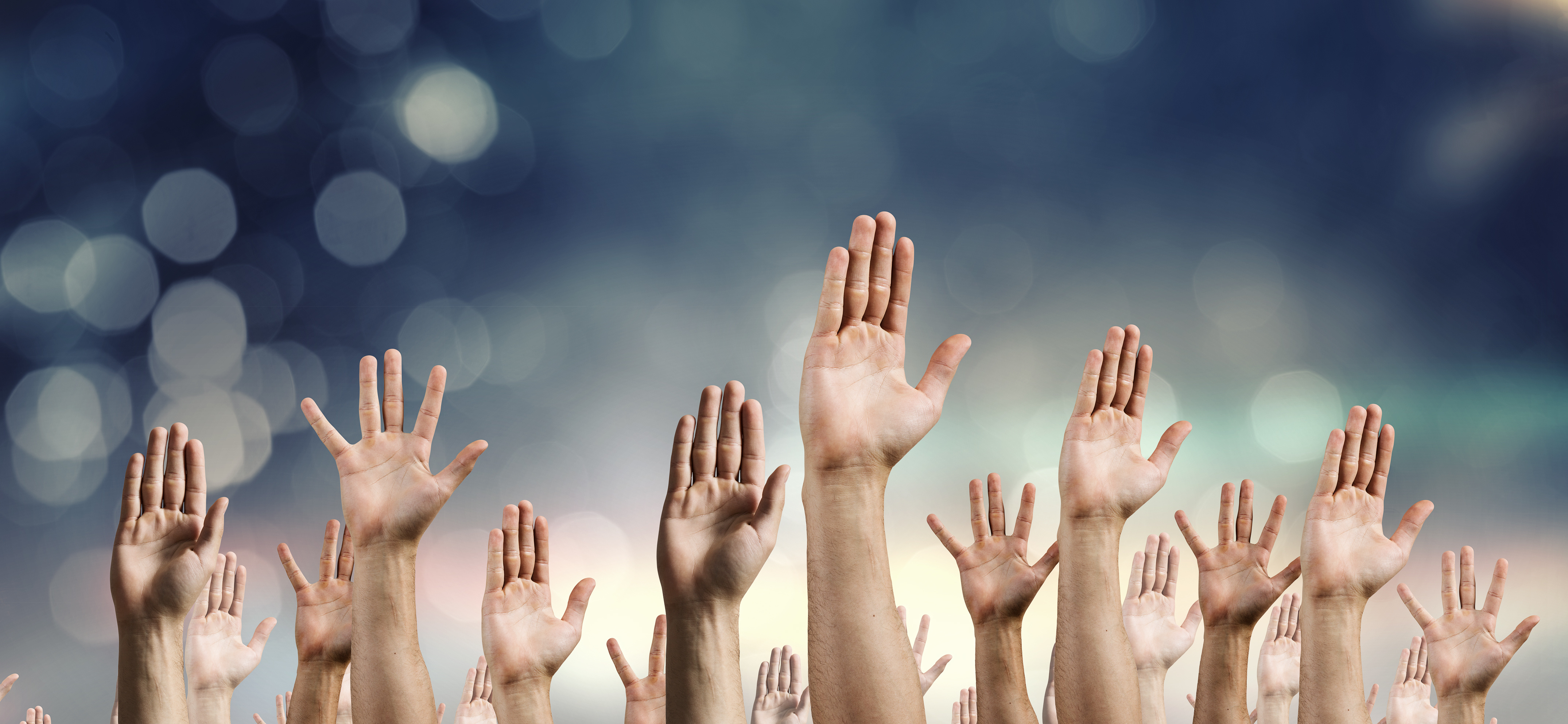 Background Check Basics: An Easy Guide to Volunteer Screening