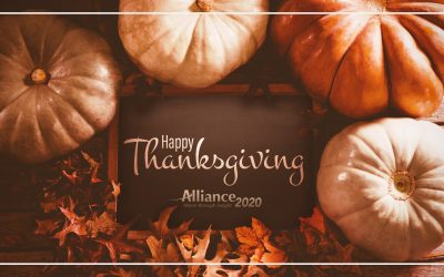 November 2019 Newsletter