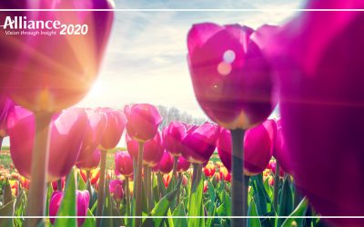 April 2020 Newsletter